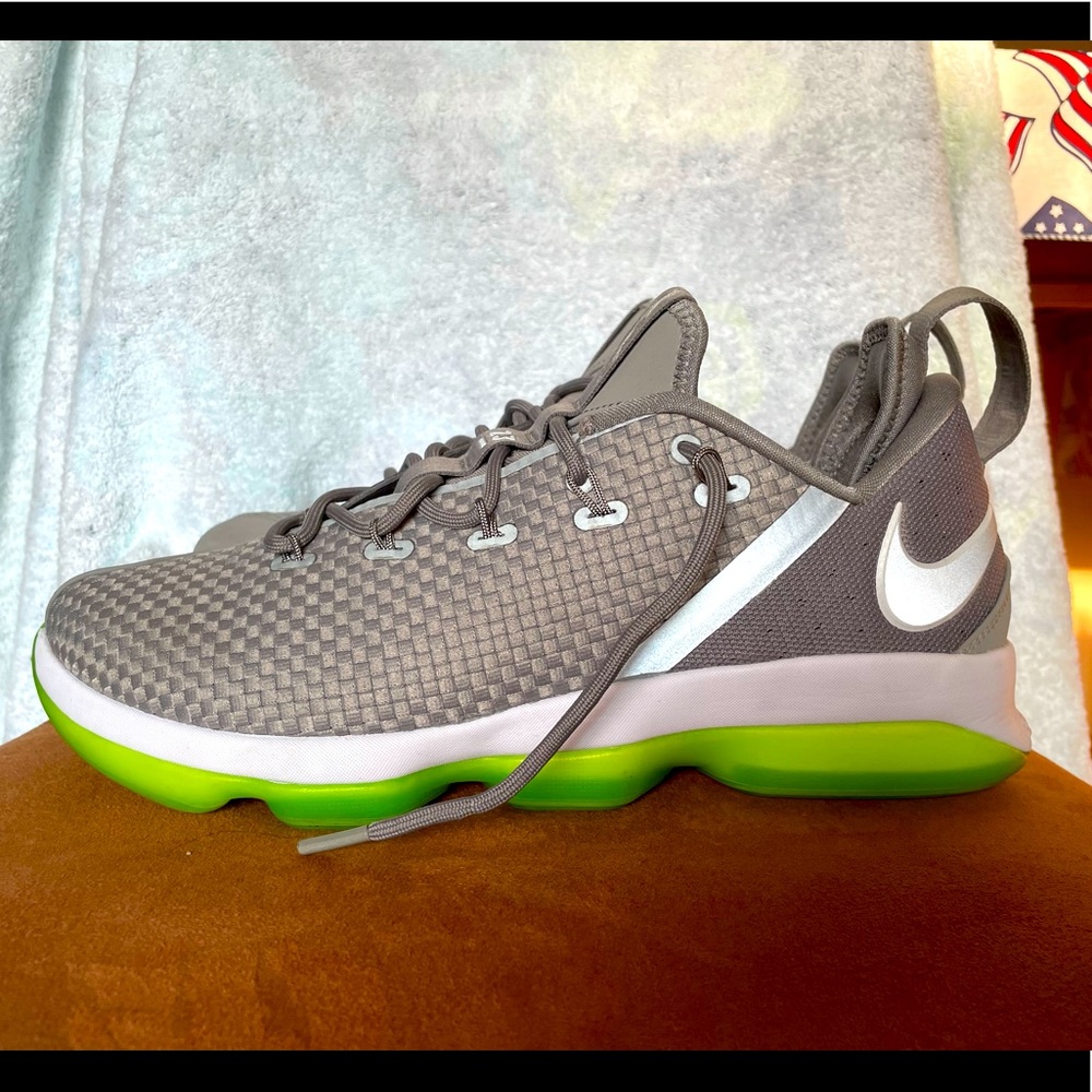 Nike Lebron Zooms